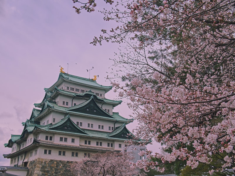 Jak stworzyć klimat Japonii we własnej łazience?